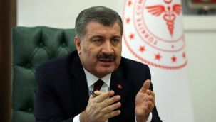 Bakan Koca'dan vaka artışı açıklaması