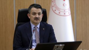 Bakan Pakdemirli açıkladı: Türkiye'nin ilk elektrikli traktörü seri üretime hazır!