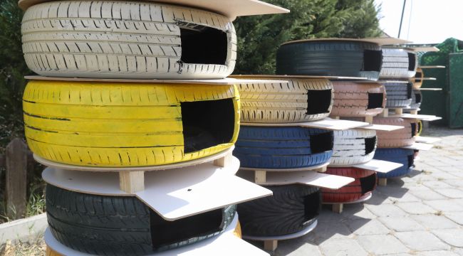 Buca'da can dostlar için kışa hazırlık