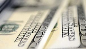 Dolarda yeni zirve: 7,98