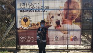 Efes Selçuk'ta can dostları sahiplenenler çoğalıyor