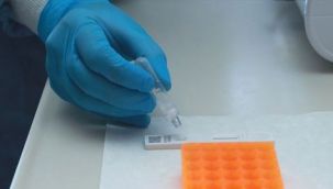 Flaş iddia! 'PCR testini pozitiften negatife çeviren bir şebeke var'
