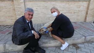 Güzelbahçe'de hayvan dostu Gündüz çiftine Başkan ‘İnce’den ziyaret