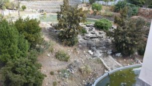 İzmir'in gözdesi Yedigöller viraneye döndü!