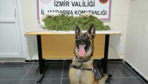 İzmir'de 8,5 kilogram uyuşturucu ele geçirildi