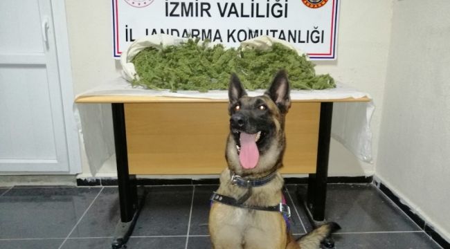 İzmir'de 8,5 kilogram uyuşturucu ele geçirildi