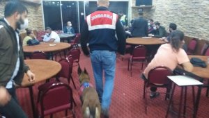 İzmir'de dernek ve depolara kumar baskınında 390 bin lira ceza kesildi