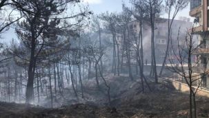 O Valilik'ten orman yangınına ilişkin flaş açıklama