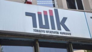 TÜİK Sağlık Bakanlığı'na özendi: İş bulma ümidi olmayan işsiz sayılmıyor