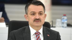 Bakan Pakdemirli: '564 projeye 261 milyon lira hibe sağlanacak'