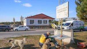 Buca Belediyesi pandemide can dostları unutmadı