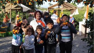 Büyükşehir sineği kovdu: Karaburun mandalinası değerlendi