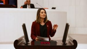 CHP'li Bankoğlu'ndan Soylu'ya tepki: Kadına şiddet 'ayıp' değil, suçtur!