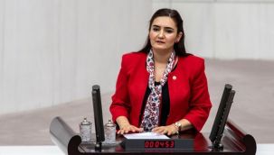 CHP'li Kılıç: İktidar 1 buçuk yaşındaki çocuğun ölümünden sorumludur!