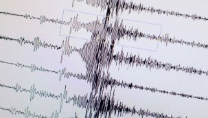 Ege Bölgesinde gece yarısı art arda deprem