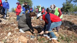 İzmir İli’nde 30 Noktada 20 Bin Fidan Toprakla Buluştu