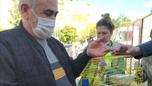 İzmir itfaiyesi hasarlı binadaki muhabbet kuşunu kurtardı