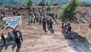 İzmir'de 30 noktada 20 bin fidan toprakla buluştu