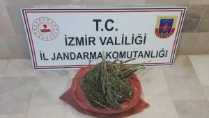 İzmir'de uyuşturucu operasyonu: 2 gözaltı!