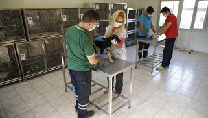 Konak’ta depremzede can dostlar unutulmadı