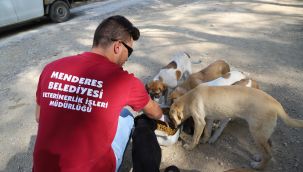 Menderes'te can dostlar emin ellerde