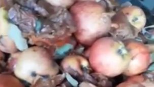 TikTok'ta yeni skandal: Çürük meyvelerden meyve suyu yapılıyor!