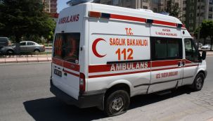 Akşam yedikleri mantar sonları oluyordu!