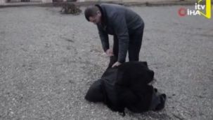 Azerbaycan'da işgalden kurtarılan nine toprağı öptü