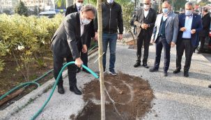 Bornava'da 800 zeytin fidanı daha toprakla buluştu