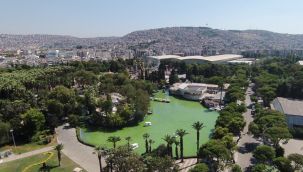 Soyer'den Kültürpark mesajı: