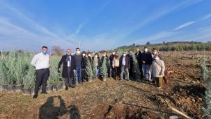 Büyükşehir her çocuk adına bir fidan dikti