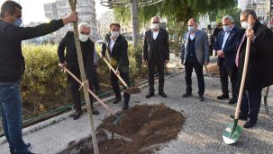 Daha yeşil bir Bornova için çalışmalar tam gaz!