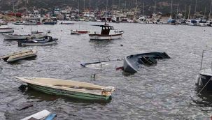 Foça’da fırtına kabusu: Limandaki 5 tekne battı!