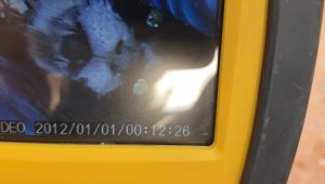 İzmir'de üzerine beton dökülen kedi 2 gün sonra kurtarıldı!