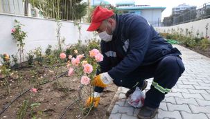 Karşıyaka'da yeni gül bahçesi