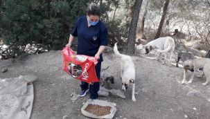 Kısıtlamalarda Menderes’te hummalı çalışma