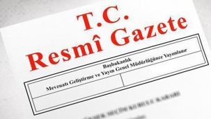 Vale hizmetlerine düzenleme getiren yönetmelik Resmi Gazete'de!