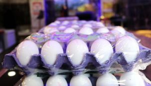 Yumurta 'altın' oldu: Cepleri yaktı!