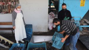 Zeytinyağını kadınlar üretiyor, tadına doyulmuyor…