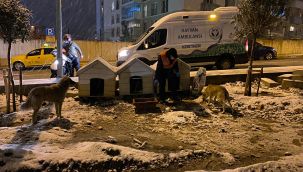 Buca Belediyesi soğuk havalarda minik dostlarını unutmadı