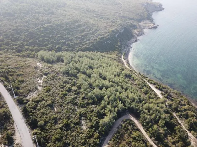 CHP'li Beko: Orman arazileri rant uğruna peşkeş mi çekiliyor?