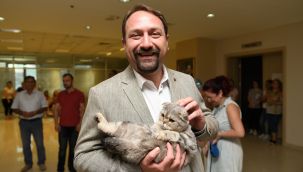 Çiğli Belediyesi Veterinerlik Hizmetlerinde rekor artış