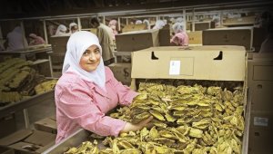 EİB'den yapılan tarım ürünleri ihracatı 5 milyar doları aştı