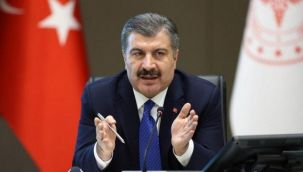 İşte Türkiye'de mutasyonlu koronavirüsün görüldüğü iller