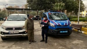 Jandarma ekipleri, yaralı şahini kurtardı