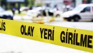 O ilde facia! 2 ölü, 1 yaralı