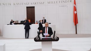 Serter, “ AKP, Türkiye’nin basın özgürlüğü sicilini bozdu”