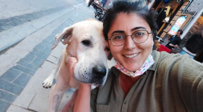 Umut kesilen köpeği Büyükşehir veterinerleri hayata döndürdü