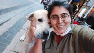 Umut kesilen köpeği Büyükşehir veterinerleri hayata döndürdü