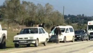 Yol kenarında koyun otlatan adama araç çarptı: 1 ölü